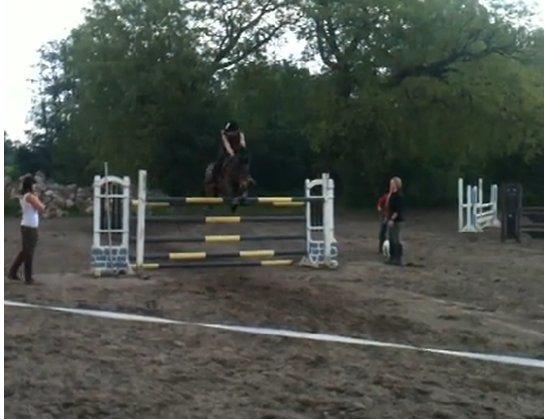 DSP Tooruardh (Tor) - my soulmate<3 - springer 140 cm til sponsorspring på Dutterup 2012 :D Seje pony !! <3 billede 5