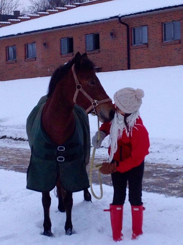 Anden særlig race Minnie - Sne, jul og søde Minnie! <3 billede 19