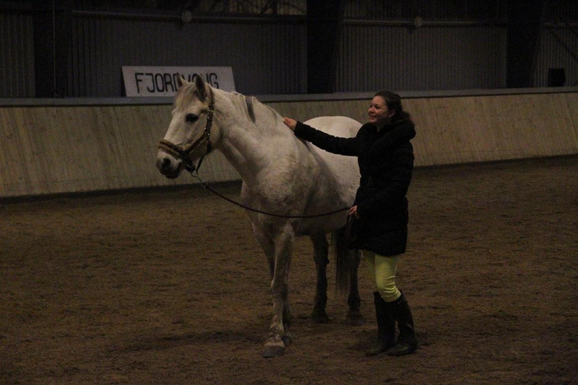 Anden særlig race Enghavegårdens Rocky *Solgt* billede 3