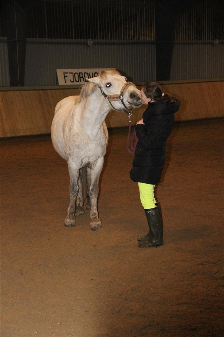 Anden særlig race Enghavegårdens Rocky *Solgt* billede 4