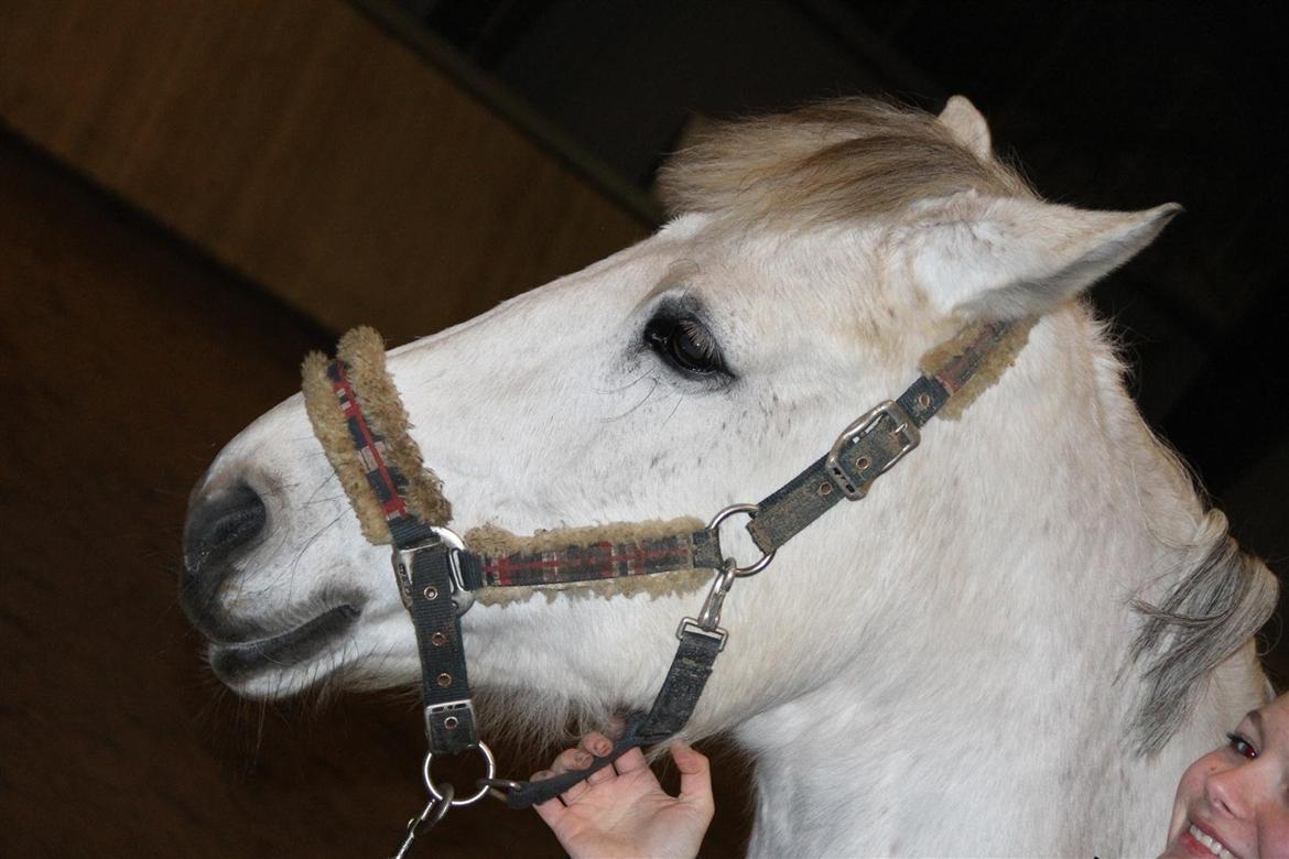 Anden særlig race Enghavegårdens Rocky *Solgt* - Hehe ;P billede 5