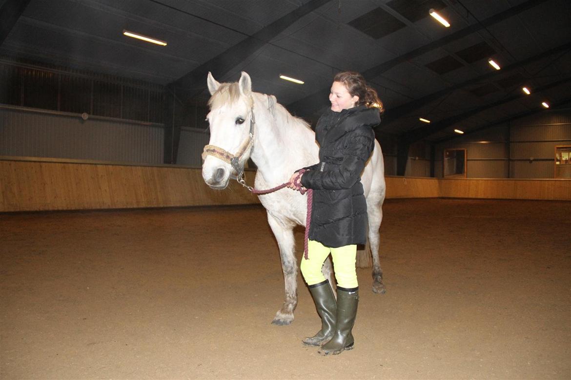 Anden særlig race Enghavegårdens Rocky *Solgt* billede 6