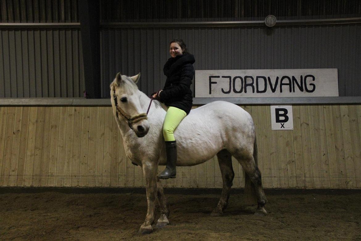 Anden særlig race Enghavegårdens Rocky *Solgt* billede 8