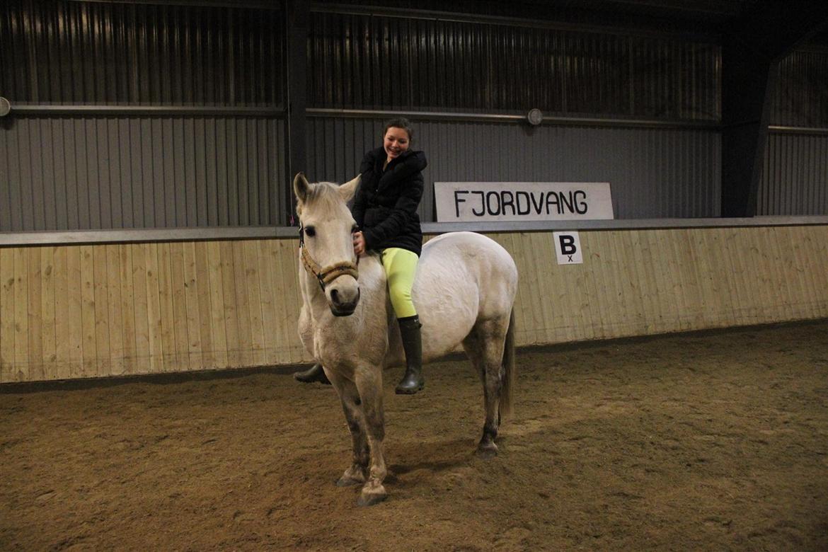 Anden særlig race Enghavegårdens Rocky *Solgt* billede 9