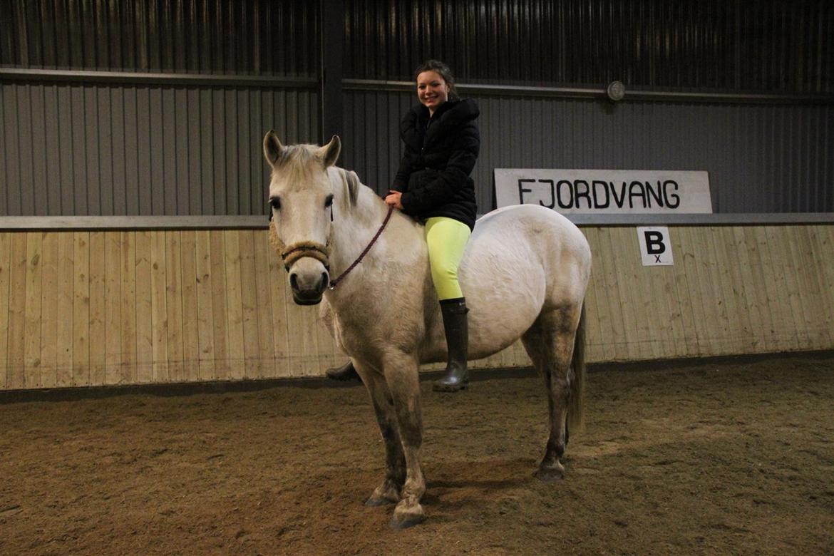 Anden særlig race Enghavegårdens Rocky *Solgt* billede 10