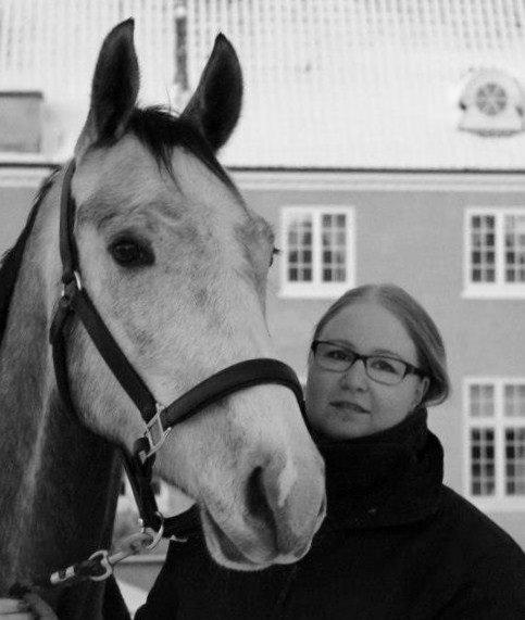 Dansk Varmblod Saxo Special billede 1