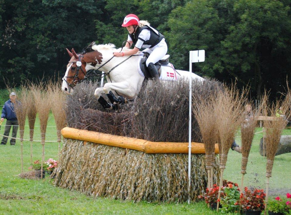 Anden særlig race Lucky Luke - Europamesterskabet for Junior 2012 i Strzegom, Polen :-) Hidtil fedeste fejlfrie terræntur :-) billede 3