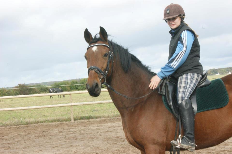 Anden særlig race Felix <3 R.I.P savner dig <3 - Min billede skønne vallak. <3 der betyder alt for mig forevigt <3   billede 3