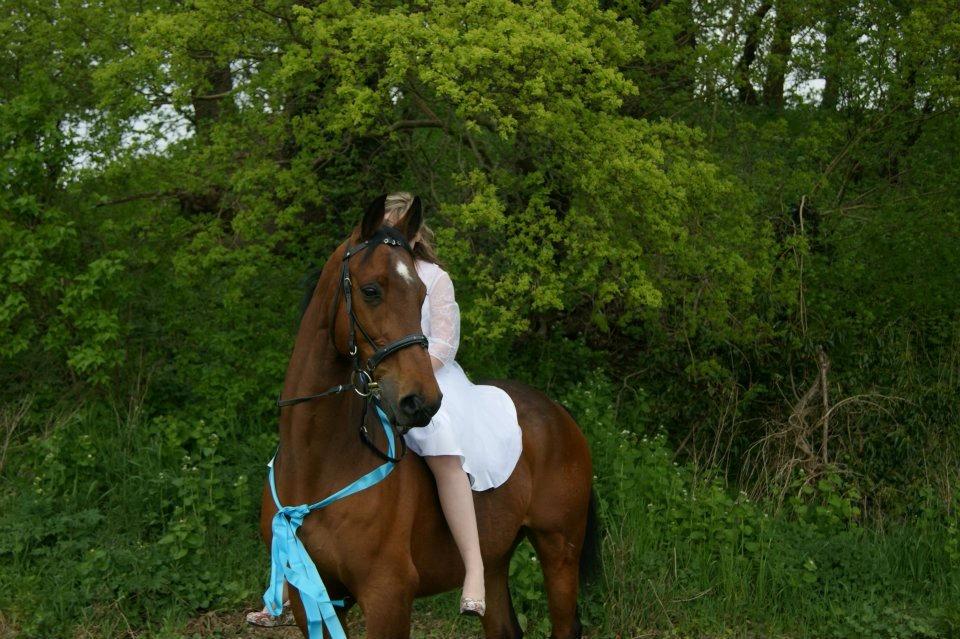 Anden særlig race Felix <3 R.I.P savner dig <3 - Det bedste billede af af ham :) Elsker ham :) <3 billede 6