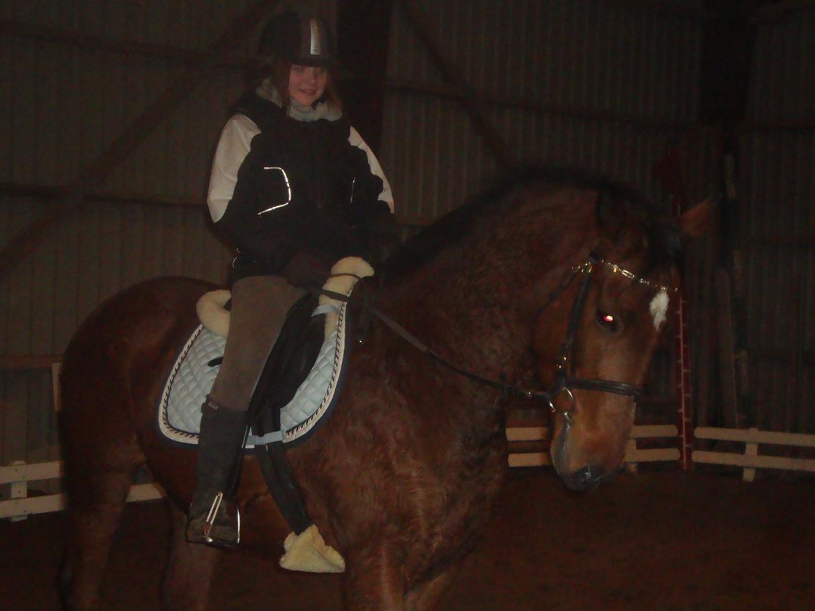 Anden særlig race Felix <3 R.I.P savner dig <3 billede 8