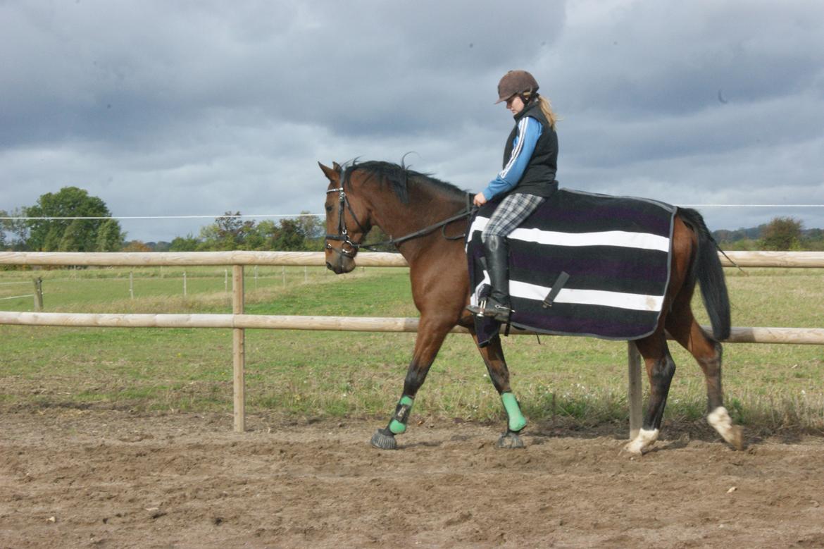 Anden særlig race Felix <3 R.I.P savner dig <3 - Der kan man se vores fremskidt :) <3  billede 9