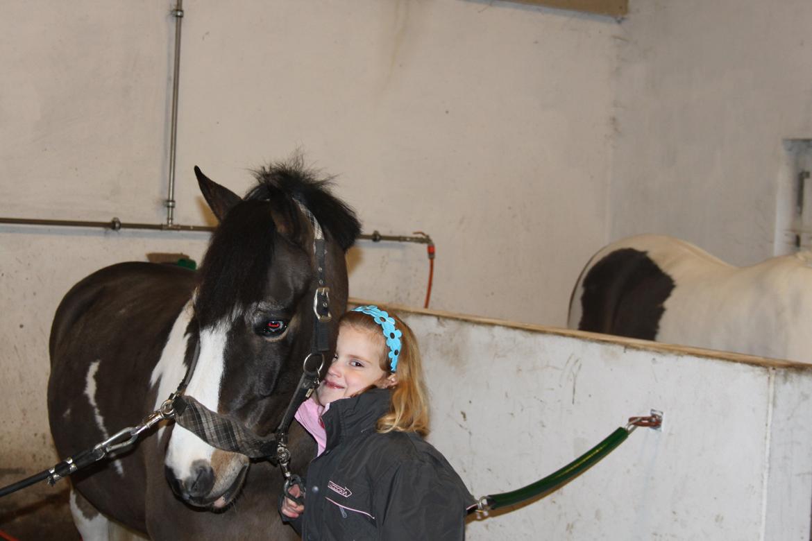 Anden særlig race Brahsal's Power billede 2