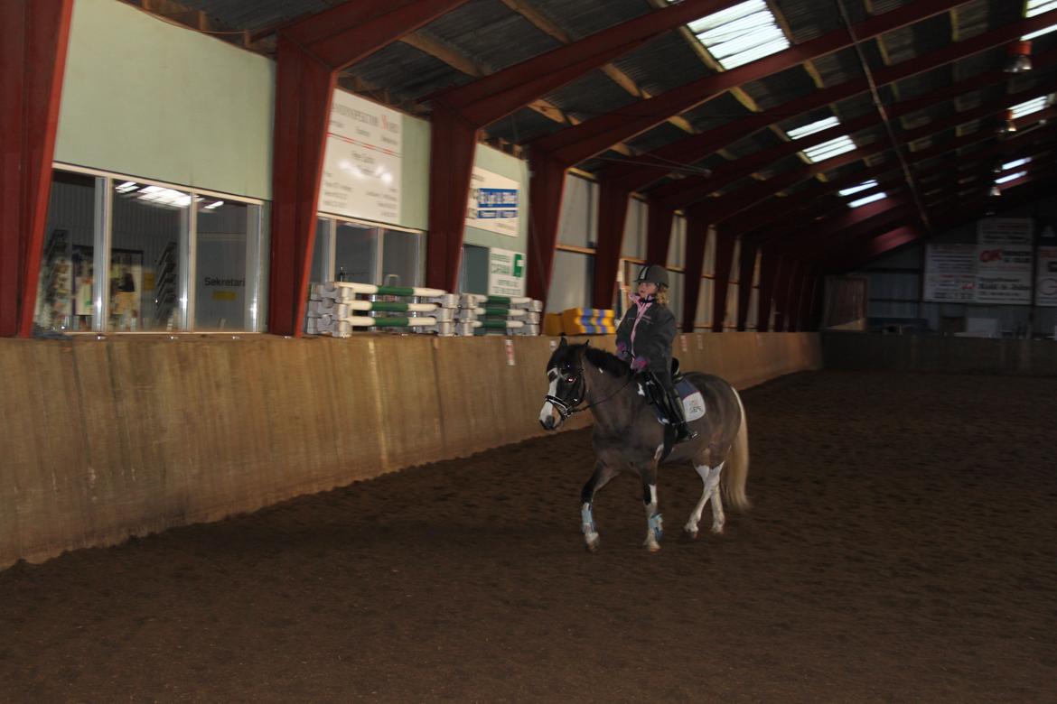 Anden særlig race Brahsal's Power billede 4