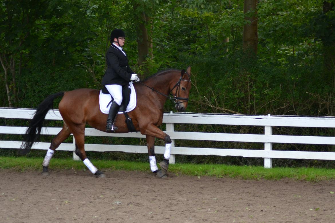 Pinto Laura af Korup - LC3 Bag lod, æv! billede 4