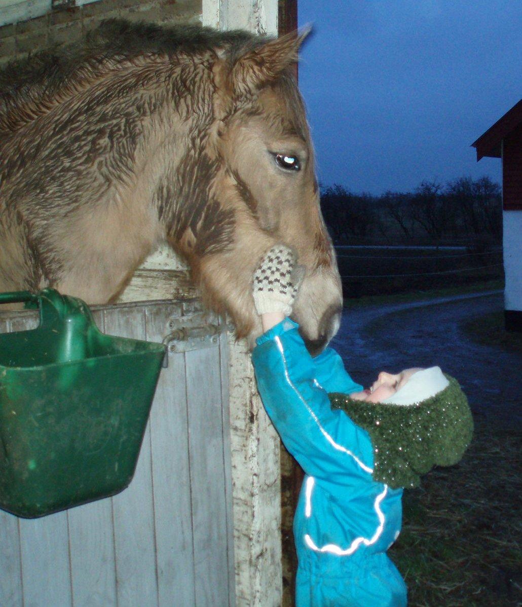 Anden særlig race RAS "Flotte fyr" - 31-1 2013 Ras nye bedste ven billede 21