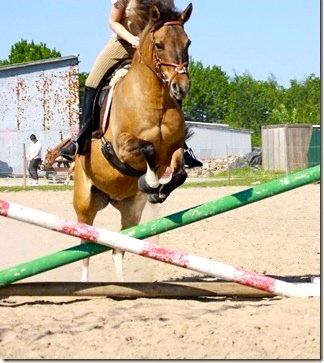 Anden særlig race Flicka <3 billede 12