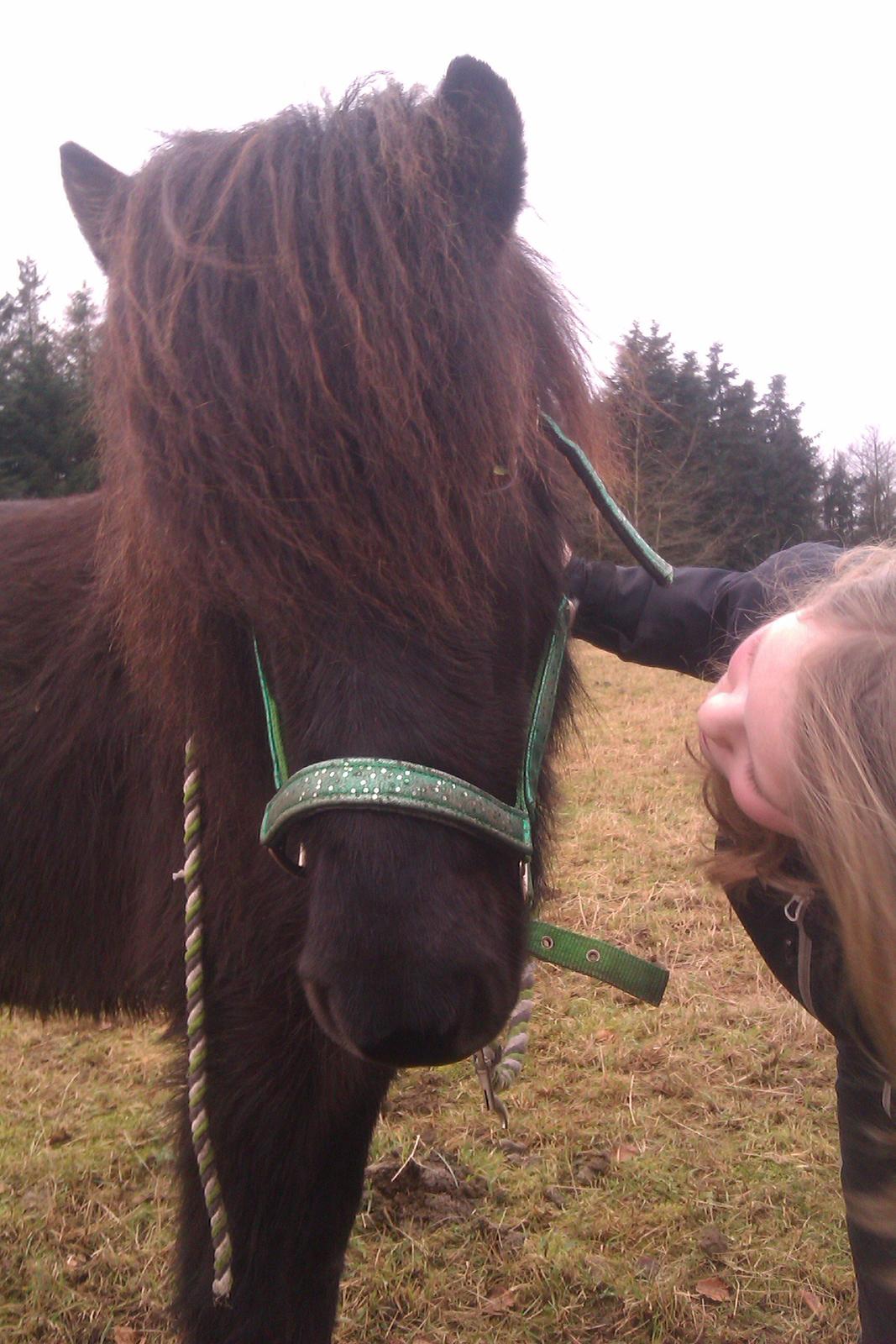 Islænder Svala fra Fuglsang - Her er hun ikke meget for det kysseri billede 10