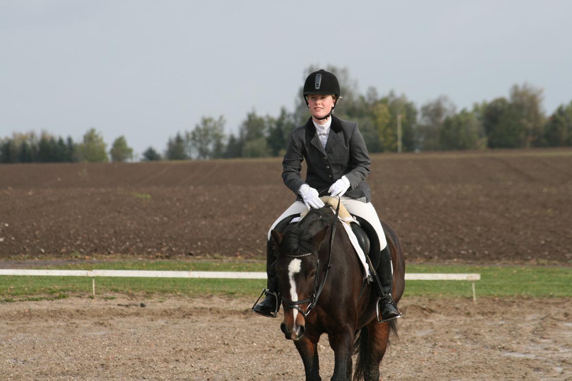 Anden særlig race Pluto - 13/10-12 
Første dressurstævne sammen. På Stengaard, LC1 59,58% Han gik super godt!:)<3 billede 10