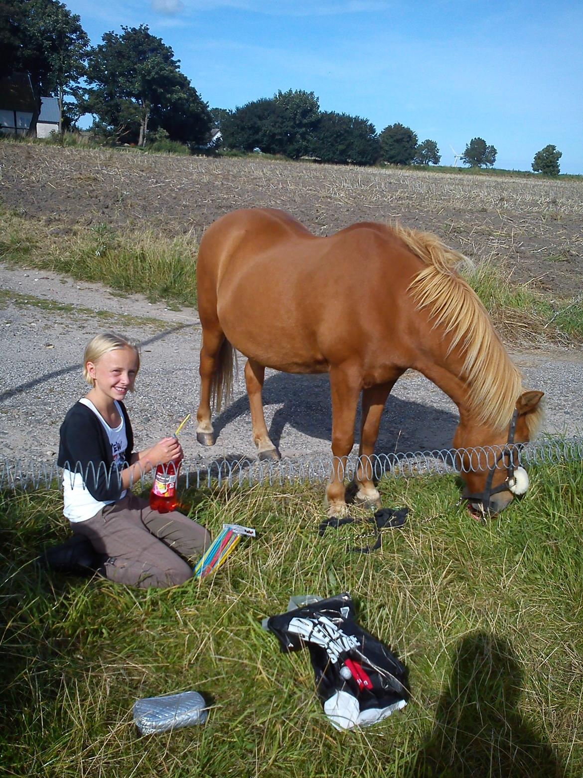 Islænder Eldur - ¤ delle ¤ - Et gammelt billede fra 2011 hvor mig og Marie hyggede med Eldur! :')<3<3 billede 19