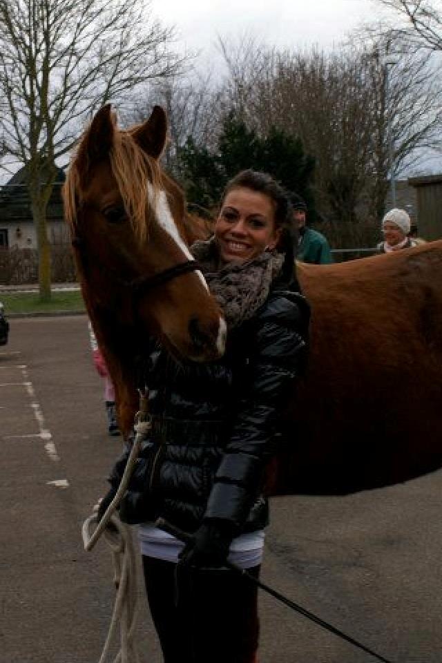 Tysk Sportspony Fredens copperfield - My Love <3 billede 9