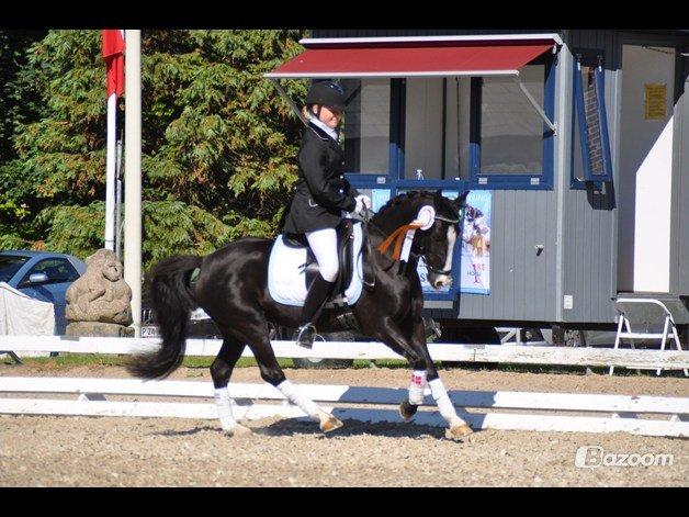 Anden særlig race Blue Eye´D Girl - A pony SOLGT! - 17. mig og Prinsessen til premie overrekelse DM 2012 <3 billede 17