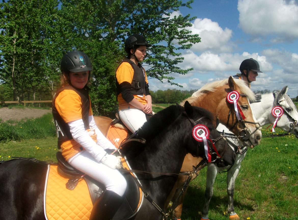 Welsh Mountain (sec A) * * * *Chanti* * * * my prinses ever <3<3<3<3<3333 - Distrektmester i stafetspring 2012 billede 18