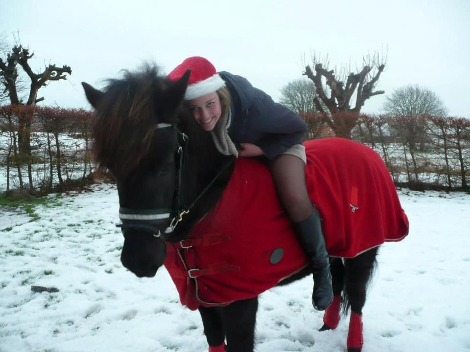 Islænder Losti - Årets Bedste jule billede 2012! <3 billede 1