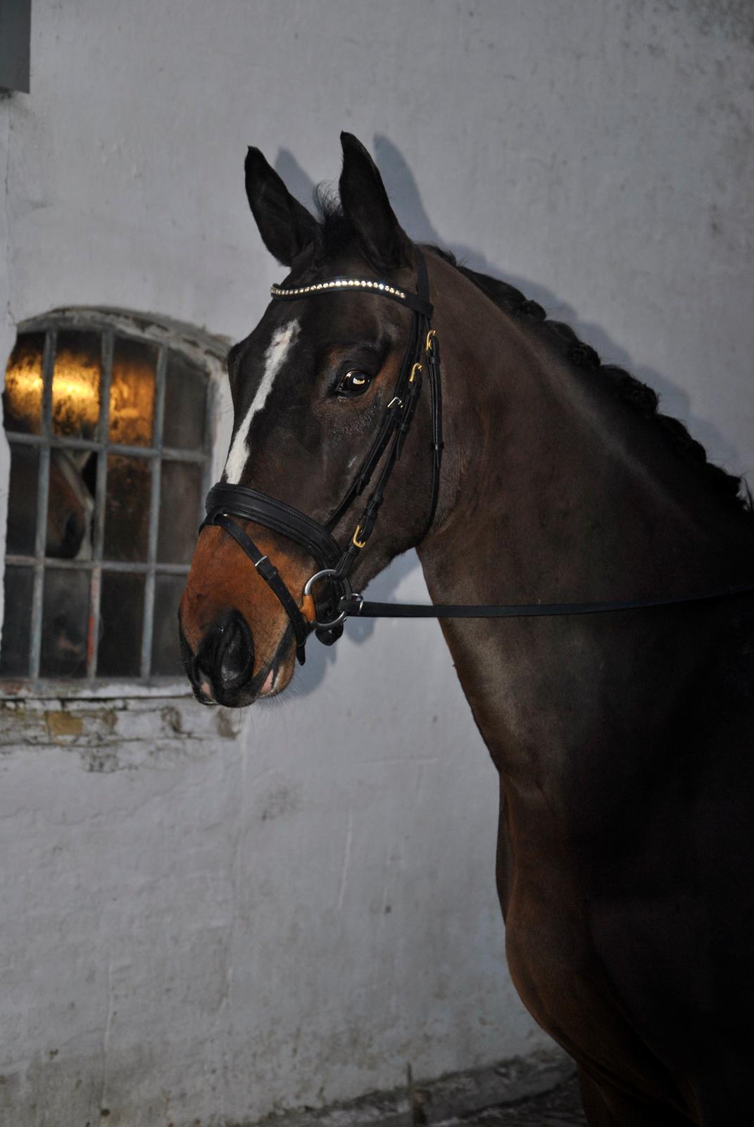 Oldenborg Conrad billede 1