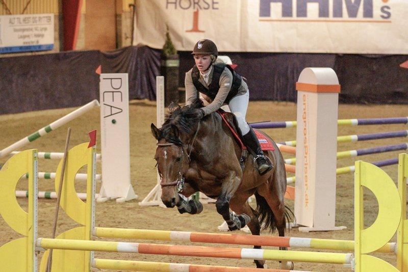 Holstener TT- Lacopia billede 1