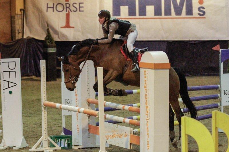 Holstener TT- Lacopia billede 8