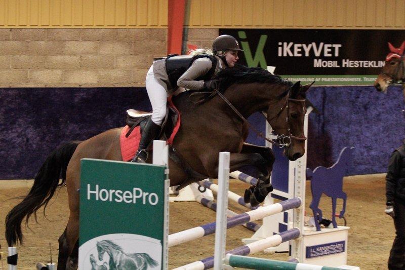 Holstener TT- Lacopia billede 15