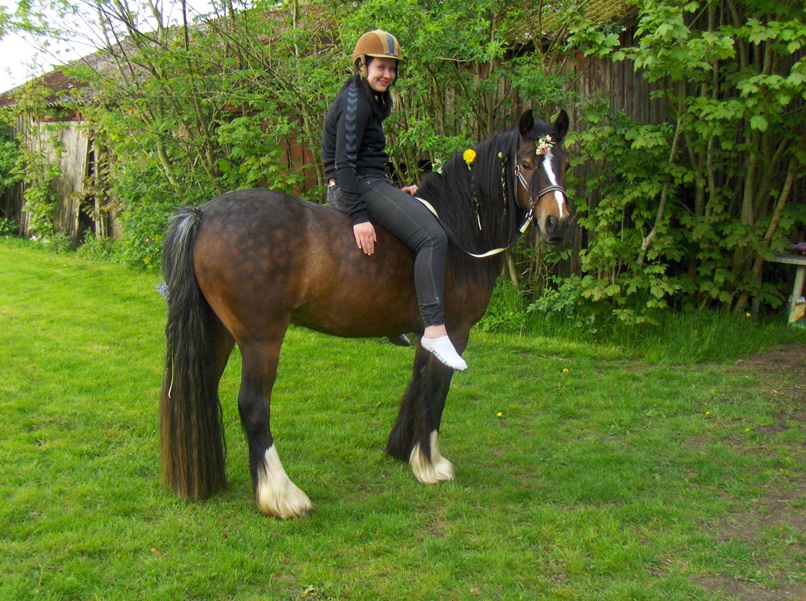 Anden særlig race Anton Berg billede 2