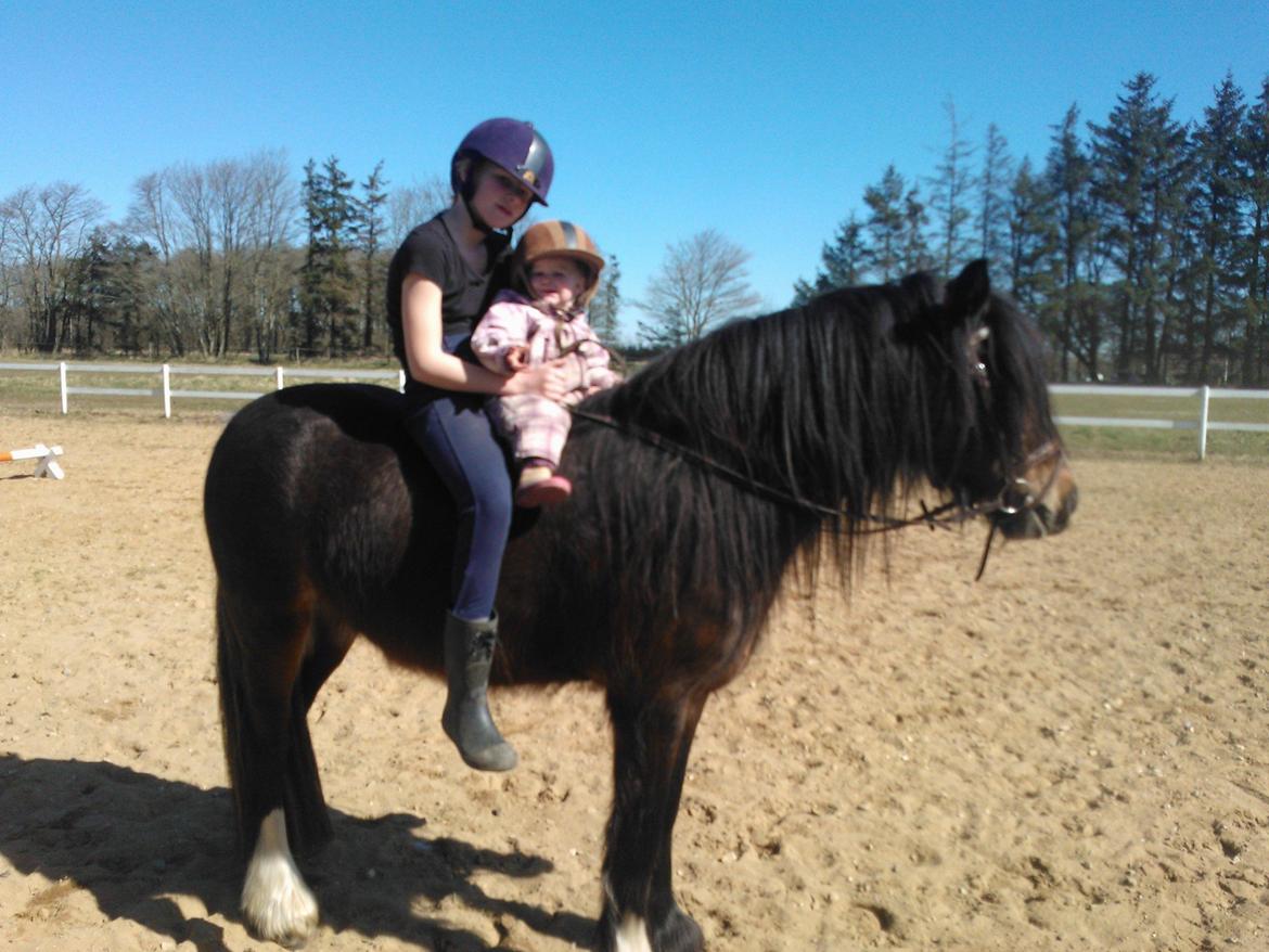 Anden særlig race Anton Berg billede 4