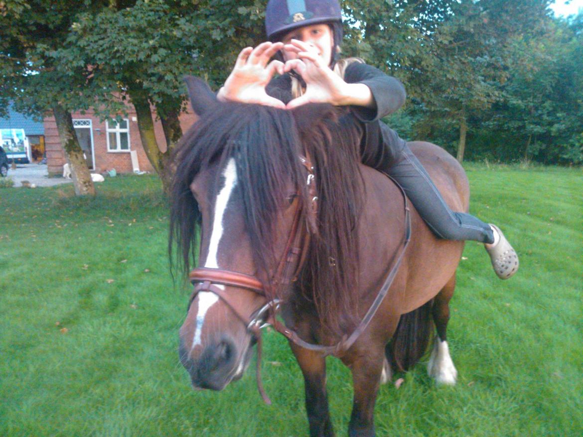 Anden særlig race Anton Berg billede 6