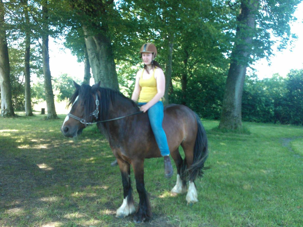 Anden særlig race Anton Berg billede 7