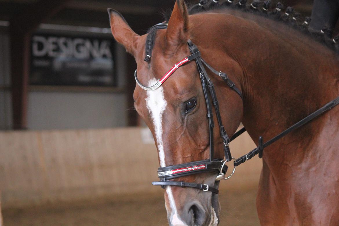 Oldenborg Evita Rosenager <3 - Prinsesse <3 billede 3