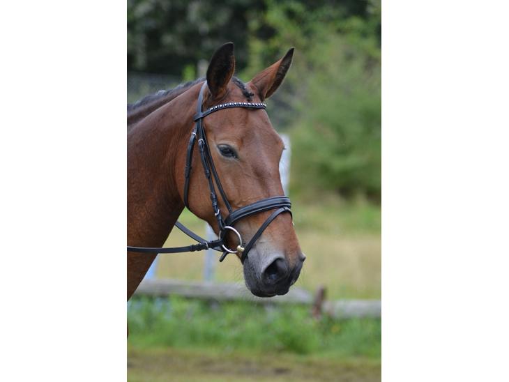 {{currentPhoto.altText}} billede {{currentPhoto.number}}