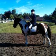 Anden særlig race Flipper