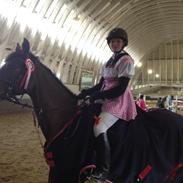 Dansk Varmblod Fiona ***FIO****