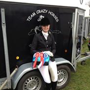 Dansk Varmblod Fenessa