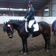 Anden særlig race Luna