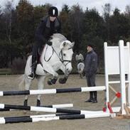 DSP Tjørnelunds Silva