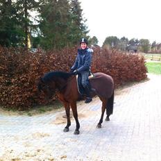 Anden særlig race Madsen (Yasser)