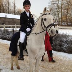 Anden særlig race Prins Grå<3