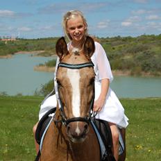 Anden særlig race Lucky Boy