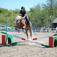 Anden særlig race Lucky Boy