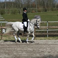 DSP Tjørnelunds Silva