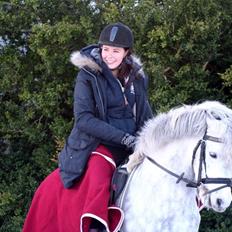 Welsh Pony (sec B) Nappemarkens Porsche