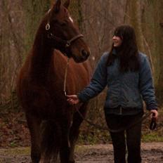 Anden særlig race Picasso <3