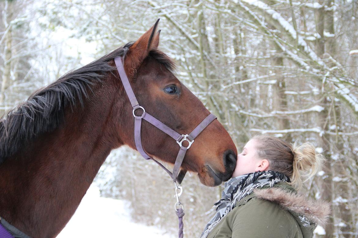 Anden særlig race Serafina Pekkala - Julemysser <3 Taget af min søster billede 21